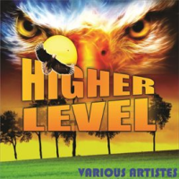 Higher_Level